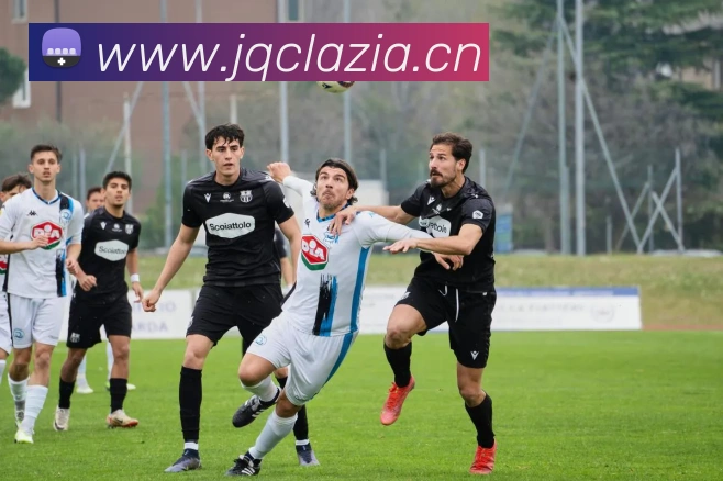 j9游会发展历程